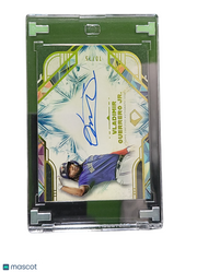 2025 Topps Diamond Icons Vladimir Guerrero Jr. #DIA-VGJ