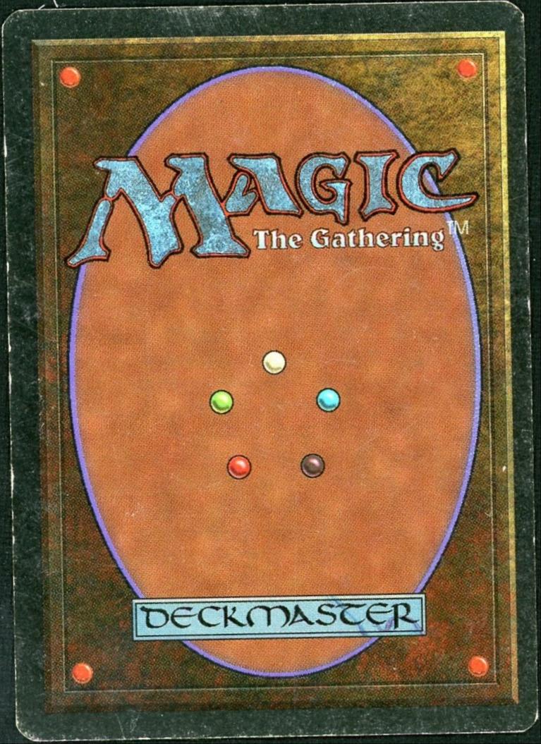 Savannah Dual Land Magic The Gathering Revised Edition